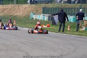 20110501_ales_agnus (1958)
